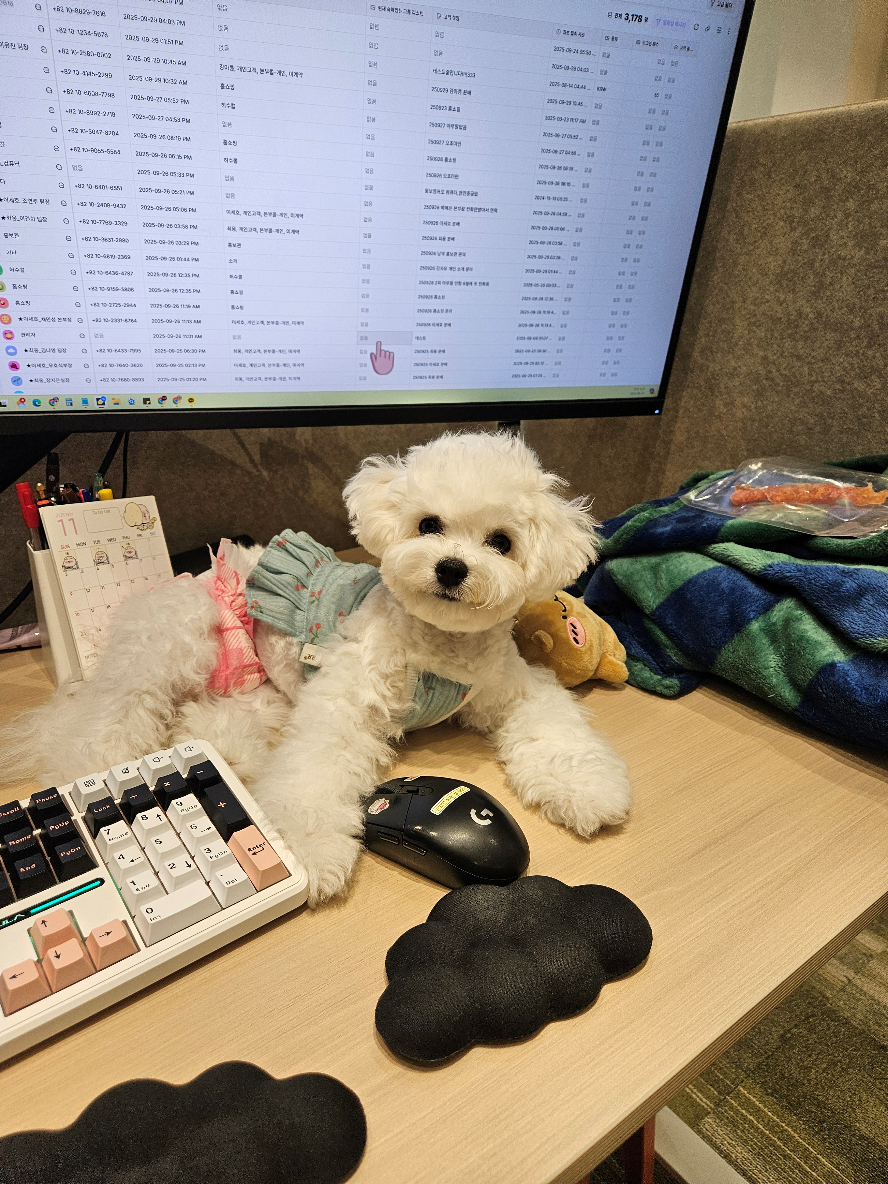 임효빈 프로필