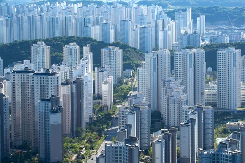 전국 필터 배경