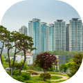 제주도 지역 필터 이미지